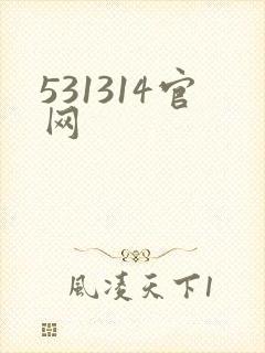 531314官网