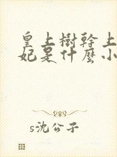 皇上树干上太子妃是什么小说