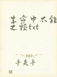 生命中不能承受之轻txt
