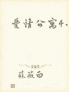 爱情公寓4小说