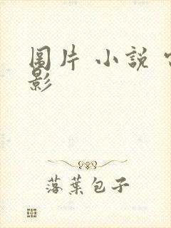 图片 小说 电影