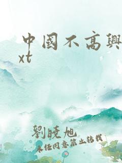中国不高兴 txt