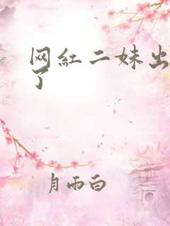 网红二妹出啥事了