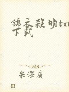锦衣杀明txt下载