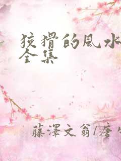 狡猾的风水相师全集