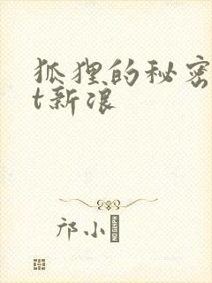 狐狸的秘密txt新浪