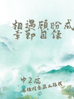 相遇顾盼成欢全章节目录