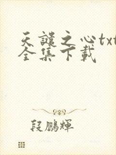 天谴之心txt全集下载