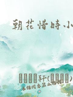 朝花惜时小说