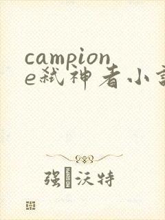 campione弑神者小说