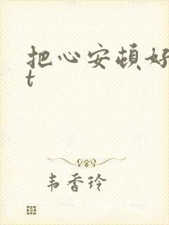 把心安顿好txt