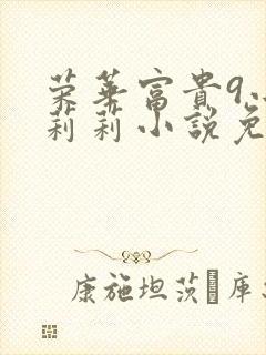 荣华富贵9小王莉莉小说免费阅读