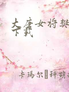 大唐女将樊梨花下载