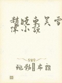 赵晓东吴雪晴郑伟小说