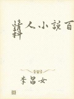 情人小说百度百科