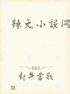 辣文小说网