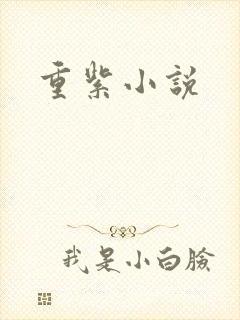重紫小说