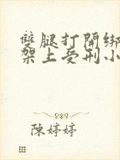 双腿打开绑在刑架上受刑小说