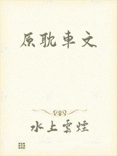 原耽车文
