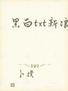 黑白txt新浪