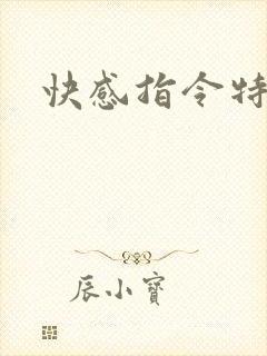 快感指令特别篇