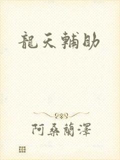 龙天辅助