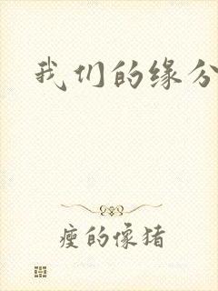 我们的缘分小说