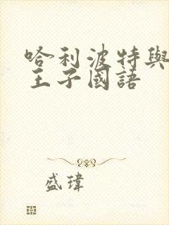 哈利波特与混血王子国语