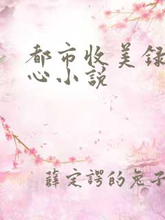 都市收美录宁素心小说