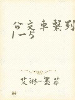 公交车系列合集1一5