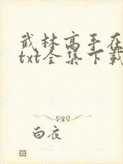 武林高手在异世txt全集下载
