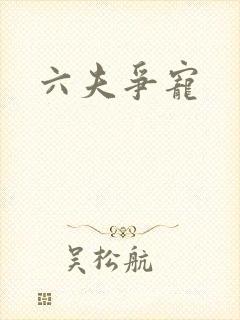 六夫争宠