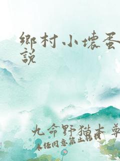 乡村小坏蛋 小说