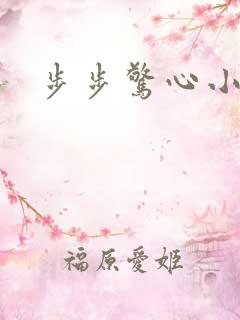 步步惊心小说2