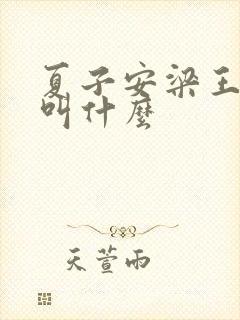 夏子安梁王书名叫什么