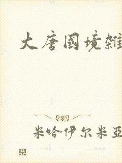 大唐国境杂货店