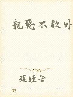 龙飞不败外传