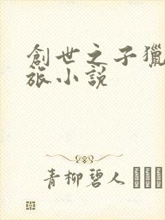 创世之子猎艳之旅小说