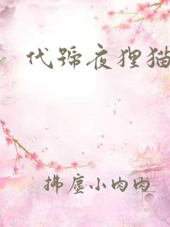 代号夜狸猫事件