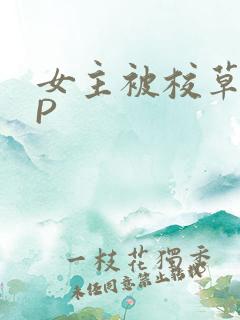 女主被校草们NP