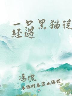 一只黑猫从眼前经过