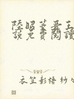 陆昭菱晋王的小说免费阅读