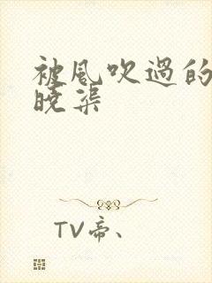 被风吹过的夏天晓渠