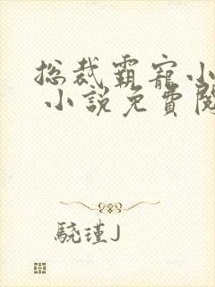 总裁霸宠小娇妻 小说免费阅读