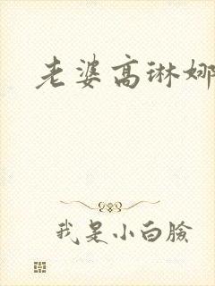 老婆高琳娜出轨