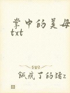 掌中的美母版主txt