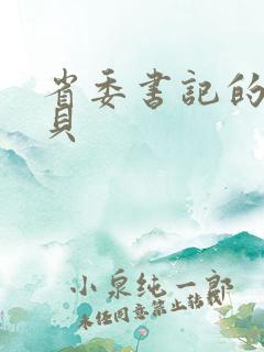 省委书记的小宝贝