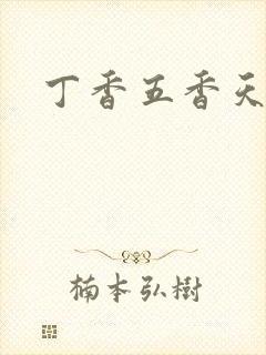 丁香五香天麻豆