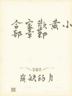 合家欢黄小梅全部章节