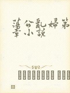 荡公乱妇第51章小说